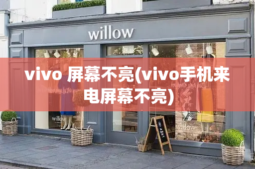 vivo 屏幕不亮(vivo手机来电屏幕不亮)-第1张图片-星选测评