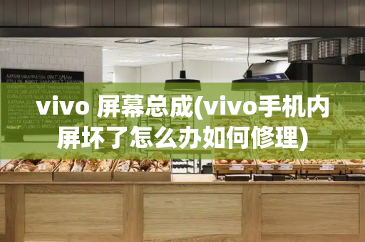 vivo 屏幕总成(vivo手机内屏坏了怎么办如何修理)