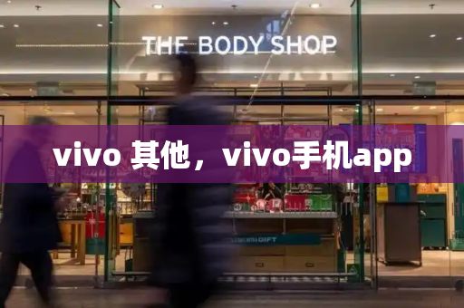 vivo 其他，vivo手机app-第1张图片-星选测评