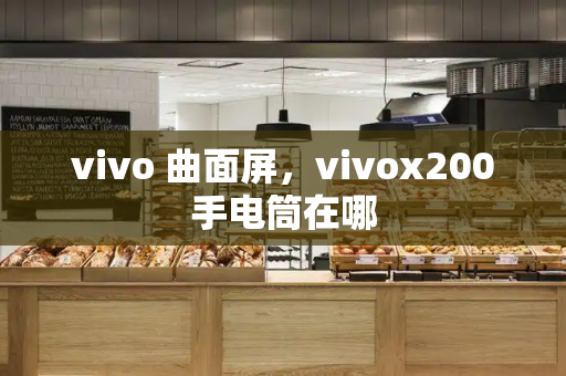 vivo 曲面屏，vivox200手电筒在哪