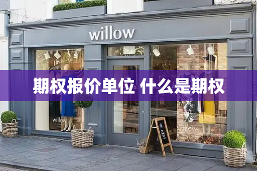 期权报价单位 什么是期权