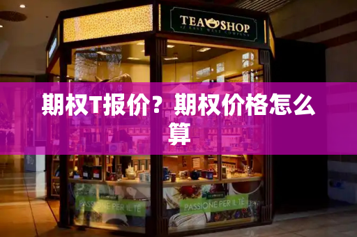 期权T报价？期权价格怎么算-第1张图片-星选测评