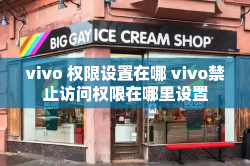 vivo 权限设置在哪 vivo禁止访问权限在哪里设置-第1张图片-星选测评