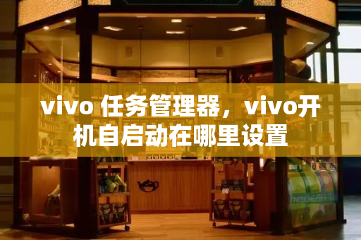 vivo 任务管理器，vivo开机自启动在哪里设置-第1张图片-星选测评