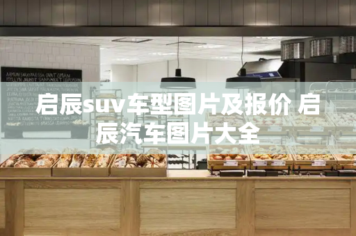 启辰suv车型图片及报价 启辰汽车图片大全-第1张图片-星选测评