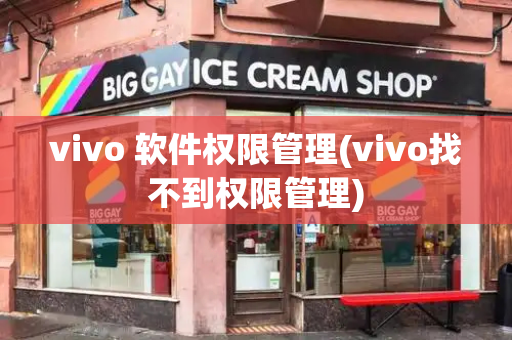 vivo 软件权限管理(vivo找不到权限管理)