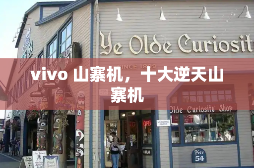vivo 山寨机，十大逆天山寨机-第1张图片-星选测评