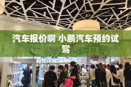 汽车报价啊 小鹏汽车预约试驾