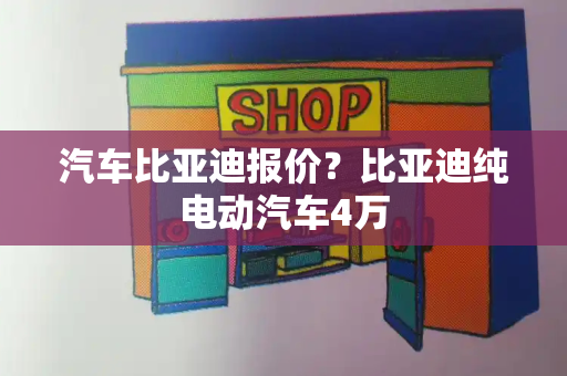 汽车比亚迪报价？比亚迪纯电动汽车4万