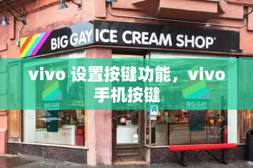 vivo 设置按键功能，vivo手机按键-第1张图片-星选测评
