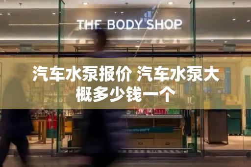 汽车水泵报价 汽车水泵大概多少钱一个-第1张图片-星选测评