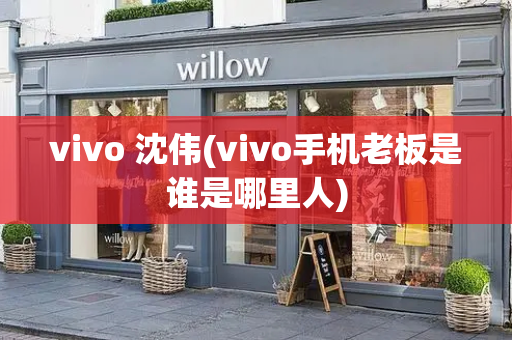 vivo 沈伟(vivo手机老板是谁是哪里人)-第1张图片-星选测评