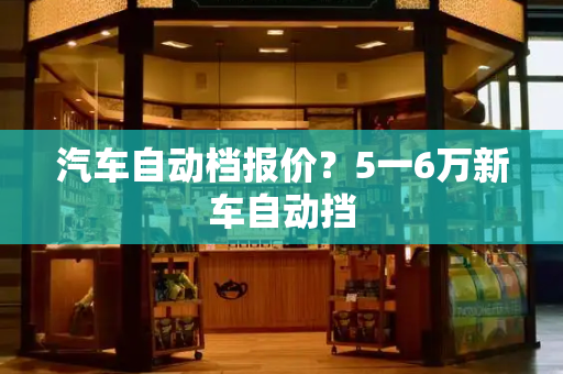 汽车自动档报价？5一6万新车自动挡-第1张图片-星选测评