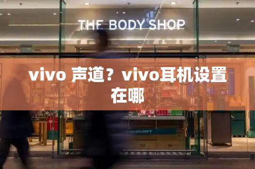 vivo 声道？vivo耳机设置在哪