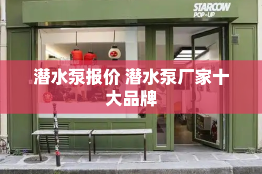 潜水泵报价 潜水泵厂家十大品牌-第1张图片-星选测评