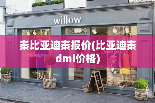 秦比亚迪秦报价(比亚迪秦dmi价格)
