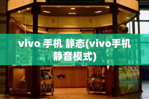 vivo 手机 静态(vivo手机静音模式)-第1张图片-星选测评