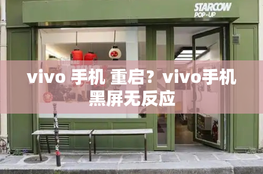 vivo 手机 重启？vivo手机黑屏无反应-第1张图片-星选测评