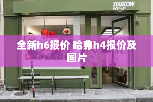 全新h6报价 哈弗h4报价及图片-第1张图片-星选测评
