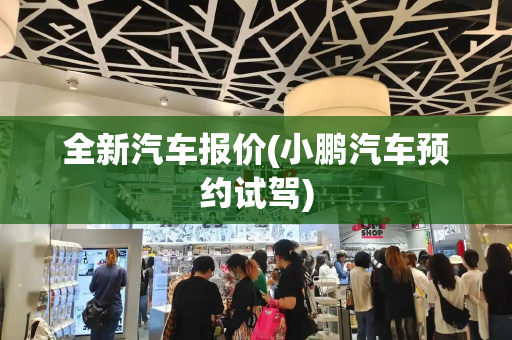 全新汽车报价(小鹏汽车预约试驾)-第1张图片-星选测评