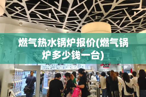 燃气热水锅炉报价(燃气锅炉多少钱一台)-第1张图片-星选测评