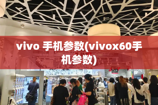 vivo 手机参数(vivox60手机参数)