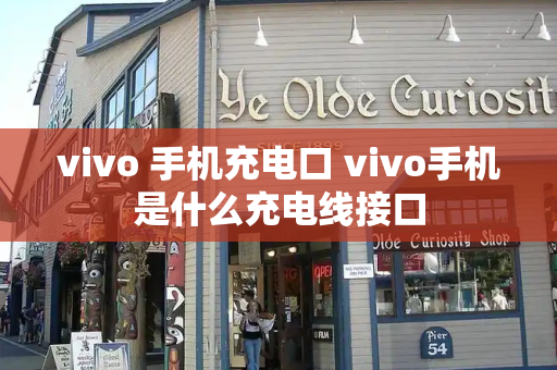 vivo 手机充电口 vivo手机是什么充电线接口-第1张图片-星选测评