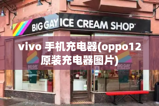 vivo 手机充电器(oppo12原装充电器图片)-第1张图片-星选测评