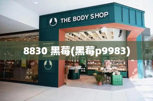 8830 黑莓(黑莓p9983)