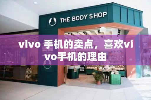 vivo 手机的卖点，喜欢vivo手机的理由-第1张图片-星选测评