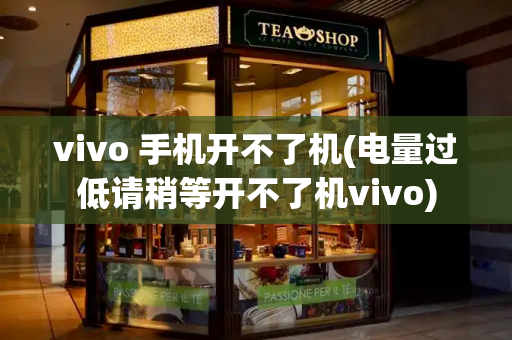 vivo 手机开不了机(电量过低请稍等开不了机vivo)-第1张图片-星选测评