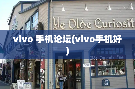 vivo 手机论坛(vivo手机好)