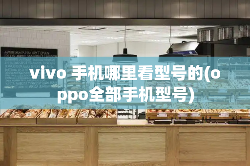 vivo 手机哪里看型号的(oppo全部手机型号)-第1张图片-星选测评