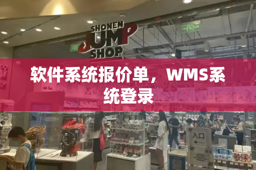 软件系统报价单，WMS系统登录