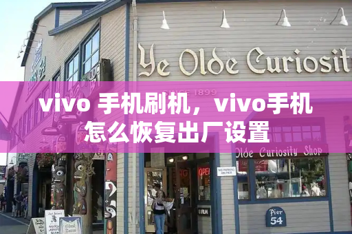 vivo 手机刷机，vivo手机怎么恢复出厂设置-第1张图片-星选测评