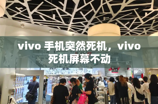 vivo 手机突然死机，vivo死机屏幕不动