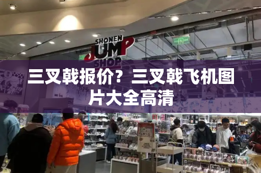 三叉戟报价？三叉戟飞机图片大全高清