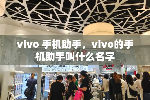 vivo 手机助手，vivo的手机助手叫什么名字