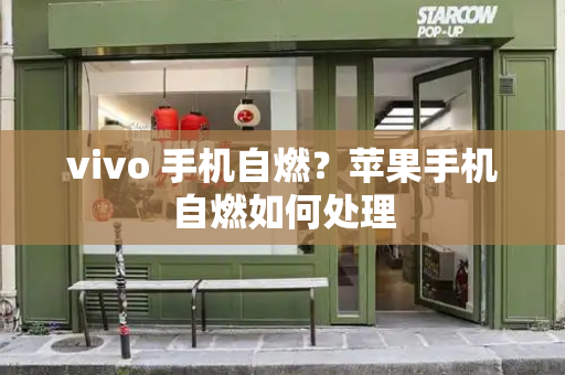 vivo 手机自燃？苹果手机自燃如何处理