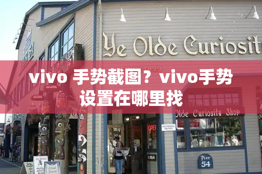 vivo 手势截图？vivo手势设置在哪里找-第1张图片-星选测评