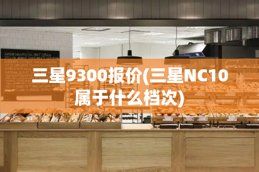 三星9300报价(三星NC10属于什么档次)-第1张图片-星选测评