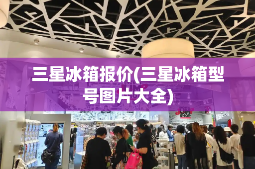 三星冰箱报价(三星冰箱型号图片大全)