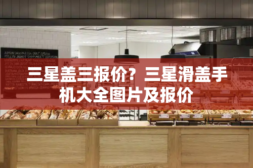 三星盖三报价？三星滑盖手机大全图片及报价-第1张图片-星选测评