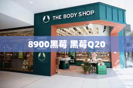 8900黑莓 黑莓Q20