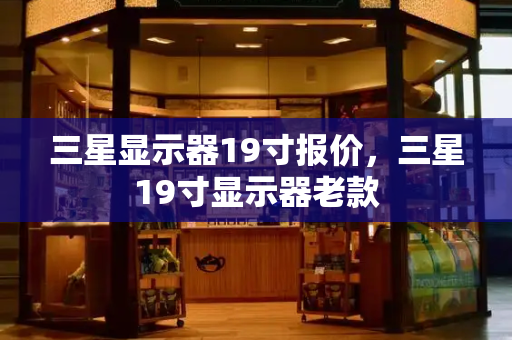 三星显示器19寸报价，三星19寸显示器老款-第1张图片-星选测评