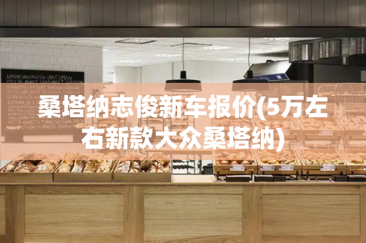 桑塔纳志俊新车报价(5万左右新款大众桑塔纳)