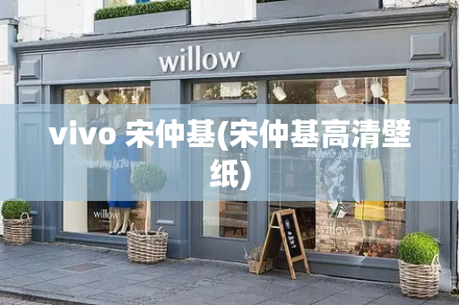 vivo 宋仲基(宋仲基高清壁纸)-第1张图片-星选测评