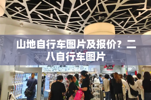 山地自行车图片及报价？二八自行车图片