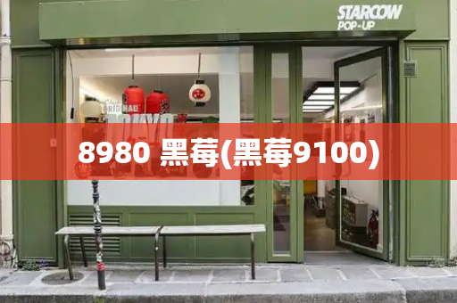 8980 黑莓(黑莓9100)-第1张图片-星选测评