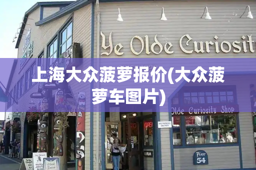 上海大众菠萝报价(大众菠萝车图片)